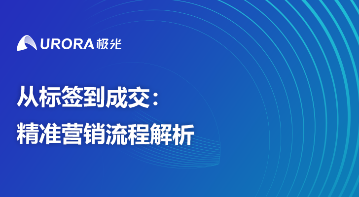 从标签到成交：精准营销流程解析