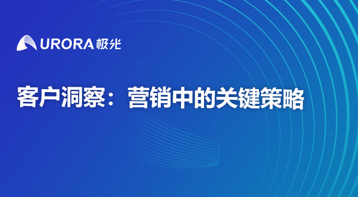 客户洞察：营销中的关键策略